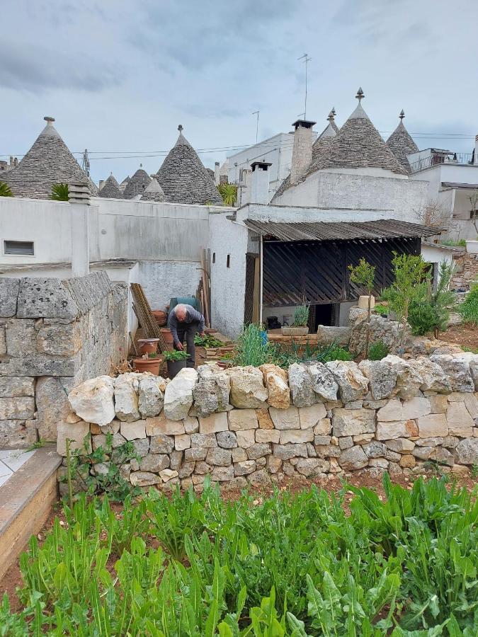 فيلا Il Trullo Di Giada E Mattia ألبيروبيللو المظهر الخارجي الصورة
