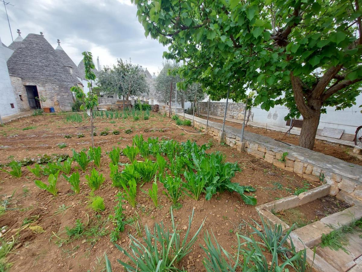 فيلا Il Trullo Di Giada E Mattia ألبيروبيللو المظهر الخارجي الصورة