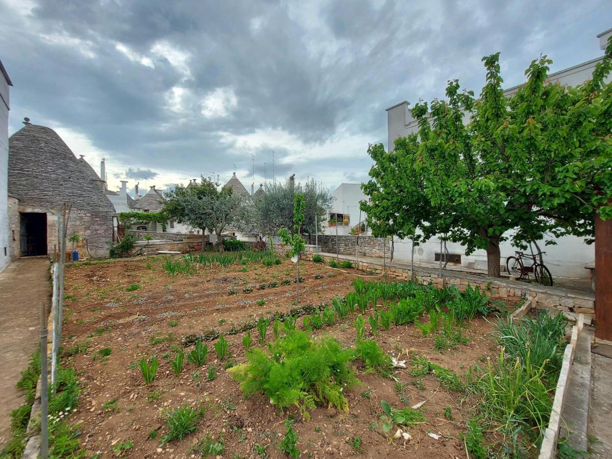 فيلا Il Trullo Di Giada E Mattia ألبيروبيللو المظهر الخارجي الصورة