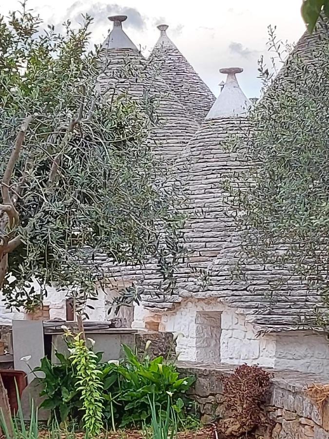فيلا Il Trullo Di Giada E Mattia ألبيروبيللو المظهر الخارجي الصورة