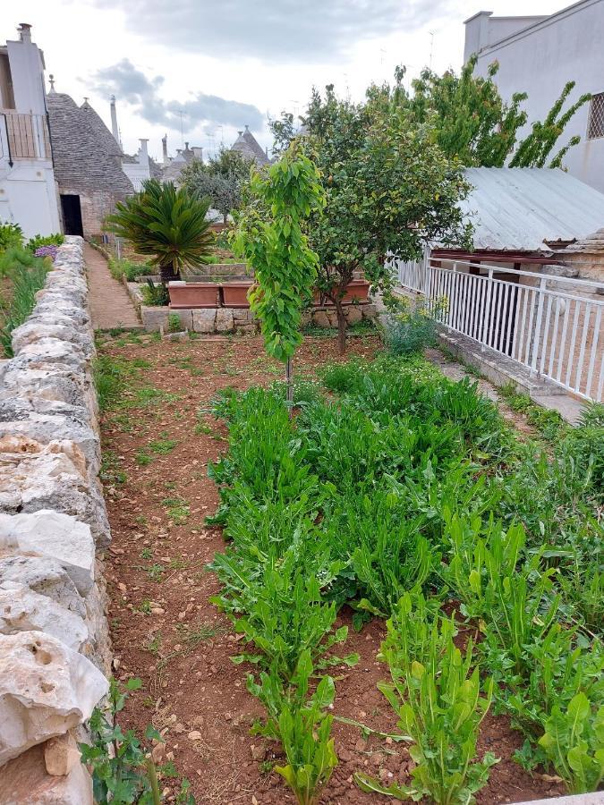 فيلا Il Trullo Di Giada E Mattia ألبيروبيللو المظهر الخارجي الصورة