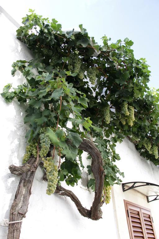 فيلا Il Trullo Di Giada E Mattia ألبيروبيللو المظهر الخارجي الصورة