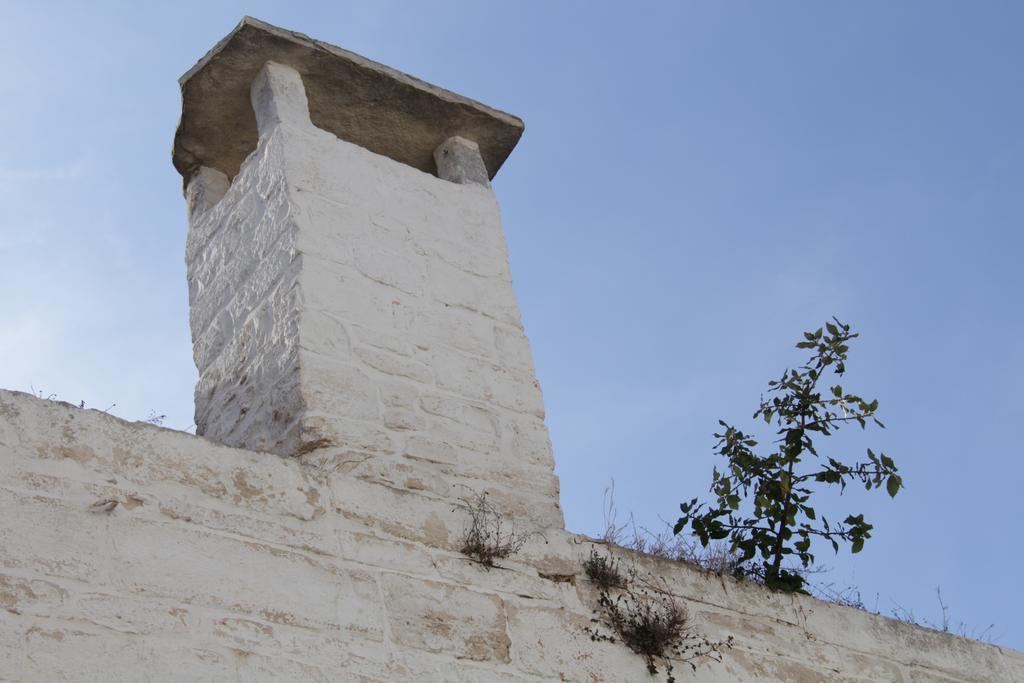 فيلا Il Trullo Di Giada E Mattia ألبيروبيللو المظهر الخارجي الصورة